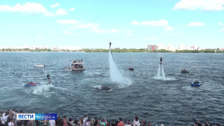 Итоги-2025. Полёты над водой, приезд альпак и борьба с самокатчиками