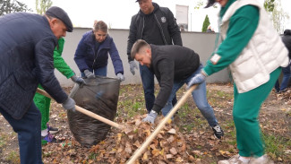 Депутаты Воронежской облдумы поучаствовали в осеннем субботнике