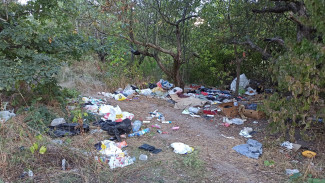В Воронеже Яблоневый сад вновь превратили в свалку после уборки волонтёров