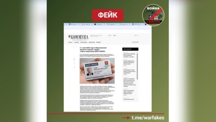 В Воронеже распространили фейк о новой программе соцподдержки для малообеспеченных