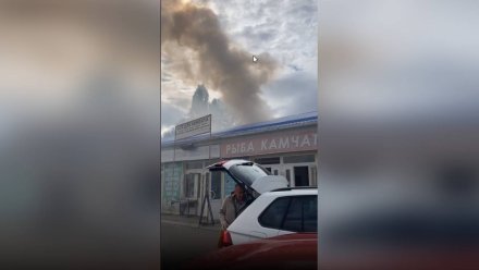 Центр Воронежа заволокло дымом из-за пожара в гаражах