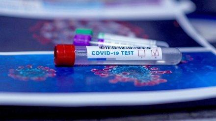 В Воронежской области выявили 137 случаев заражения коронавирусом