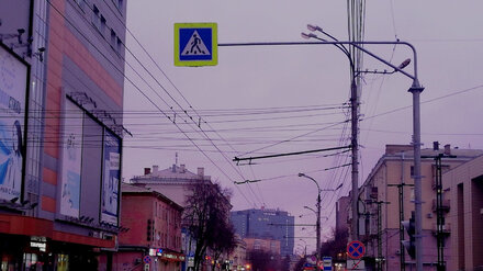 Воронежцам спустя год вернули пешеходный переход у Центрального рынка