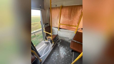 В Воронежской области самосвал врезался в маршрутку: есть раненые пассажиры