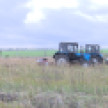 Как в Воронежской области восстанавливают леса