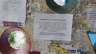 По Воронежу расклеили листовки с фейковыми обещаниями выплат за размещение дома беженцев