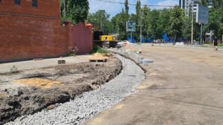 Более 200 растений высадят в Воронеже