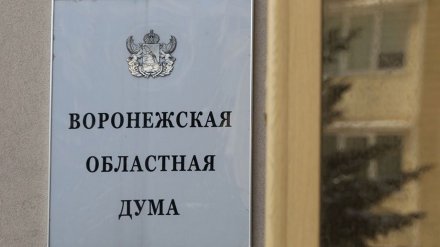 Бюджет Воронежской области на 2020 год приняли в первом чтении