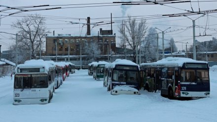Воронежские троллейбусы ушли на больничный из-за старости