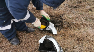 Росприроднадзор потребовал с мэрии Воронежа 145 млн за отказ от рекультивации иловых карт