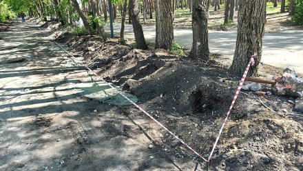 Воронежцев возмутила свалка стройматериалов в парке «Танаис»