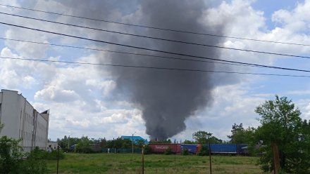 Воронежца оштрафовали на 20 тысяч за поджог мусора на Новосибирской
