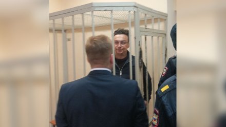 Бывшего замминистра торговли и предпринимательства отправили в СИЗО в Воронеже