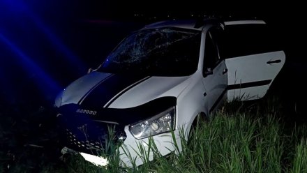 Машина с пьяным водителем вылетела в кювет в Павловском районе: 3 раненых