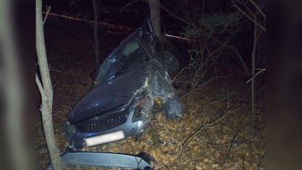 Под Воронежем пьяный водитель ВАЗа влетел в дерево
