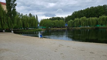 Воронежская турбаза Makardi закрылась на неопределённый срок после гибели 7-классницы