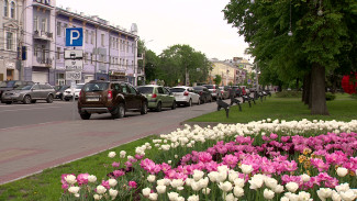 Воронежцы заплатили 40 млн рублей штрафов за игнорирование платных парковок