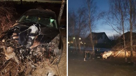 Водитель Volkswagen умер в воронежской больнице после ДТП с деревом