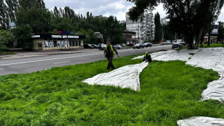 В Воронеже продолжилось обновление и восстановление газонов