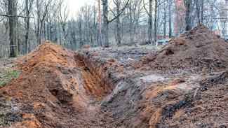 В Белгородской области на границе с Украиной начали рыть окопы