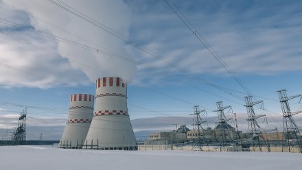 Нововоронежская АЭС сообщила о готовности к работе в режиме низких температур
