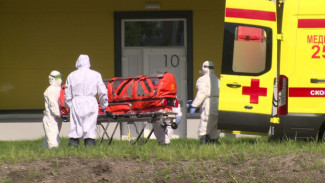 В Воронежской области коронавирус убил ещё 16 ковид-пациентов
