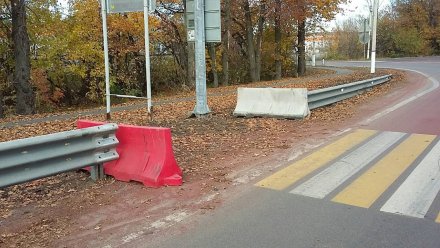 На трассе под Воронежем срезали мешавший пешеходам переходить дорогу отбойник