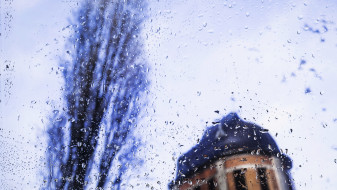 Вторая рабочая неделя ноября в Воронеже будет дождливой и снежной