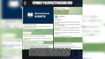 Воронежским любителям чтения рассказали о мошеннической схеме с «бесплатными книгами»