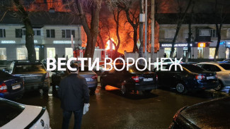 В Воронеже пожар вспыхнул рядом с ярмаркой на Донбасской