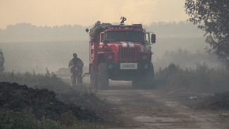Вертолёт Ми-8 подключили к тушению лесного пожара возле воронежского хутора