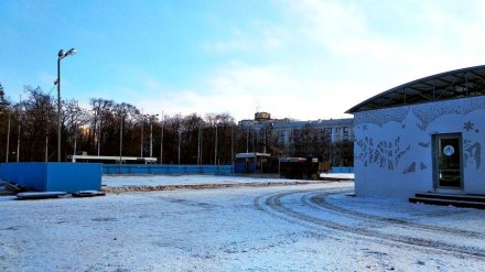 Власти назвали дату открытия катка на площади Ленина в Воронеже