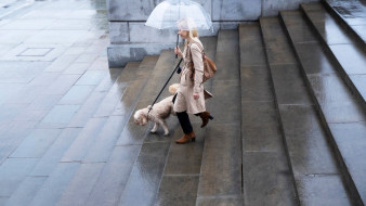 Рекордное тепло сменится в Воронежской области похолоданием