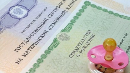 В Воронеже банда аферистов обманула получавших маткапитал женщин на 3 млн рублей