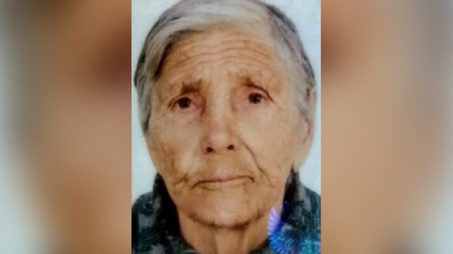В Воронежской области пропала 88-летняя бабушка