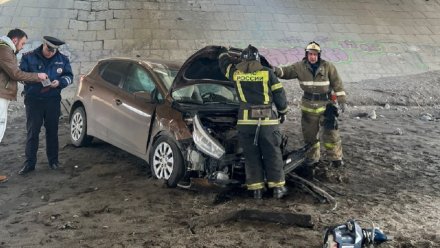 Упавшую с Северного моста воронежскую автомобилистку выписали из больницы