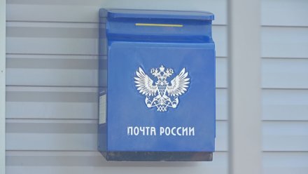 Сотрудников воронежских отделений почты вооружат для охоты на дроны