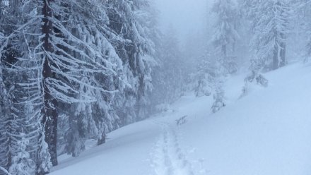 В Воронежскую области придёт сильная метель с мокрым снегом