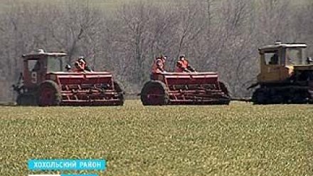 Без озимых область не останется - несмотря на капризы погоды, они выжили