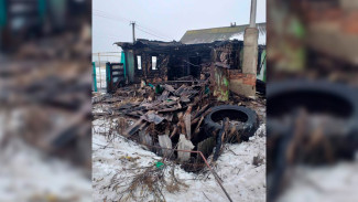 Трёх погибших на пожаре в Воронежской области опознают по ДНК 
