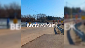 В Воронежской области временно развели мост через Дон