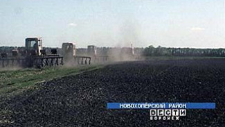 Механизаторы "Красной звезды" возделывают 400 га свеклы по новой интенсивной технологии