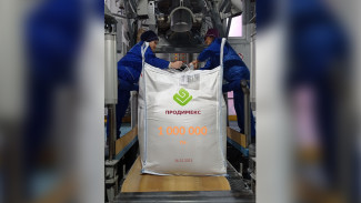 Воронежские предприятия «Продимекса» выработали 1 млн тонн сахара из свёклы
