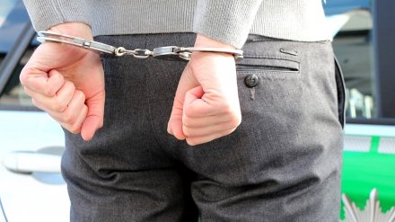 В Воронеже под суд пойдёт задержанный Интерполом в Европе мошенник