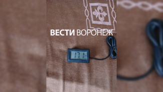 «Хотелось бы умереть в тепле». В Воронеже пенсионерка пожаловалась на холод в квартире