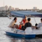 В Воронеже запустили водные прогулки в парке «Дельфин»