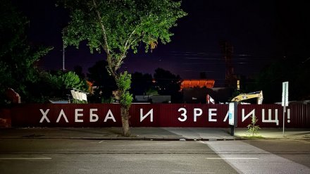Художника вызвали в полицию из-за граффити о снесённом в центре Воронежа 120-летнем доме