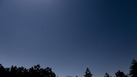 Пять дронов ВСУ уничтожили в Воронежской области 