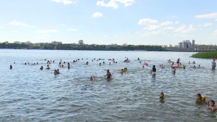Роспотребнадзор забраковал воду на двух пляжах Воронежа