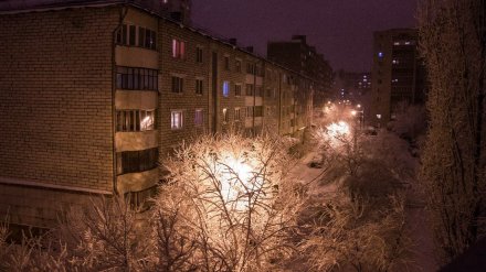 Синоптики рассказали, когда в Воронеже выпадет снег